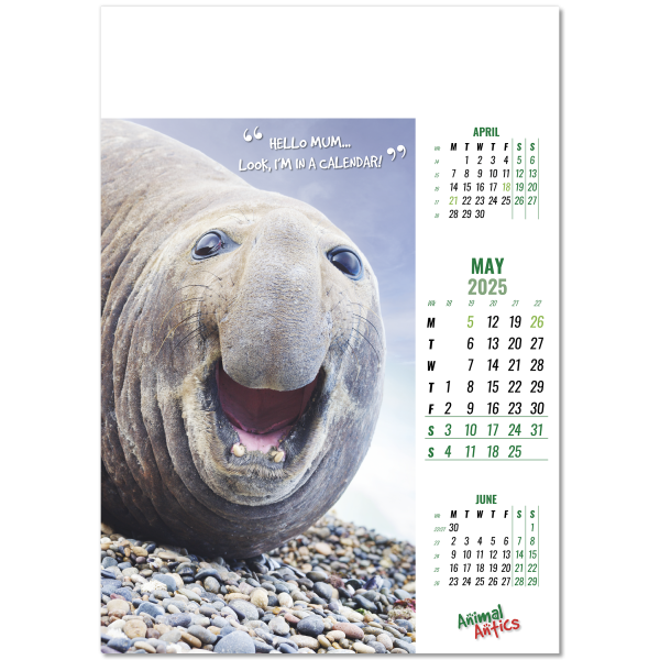 Animal Antics Wall Calendar