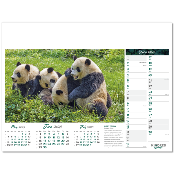 Kindred Spirits Wall Calendar