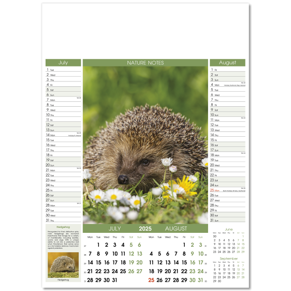 Nature Notes Wall Calendar