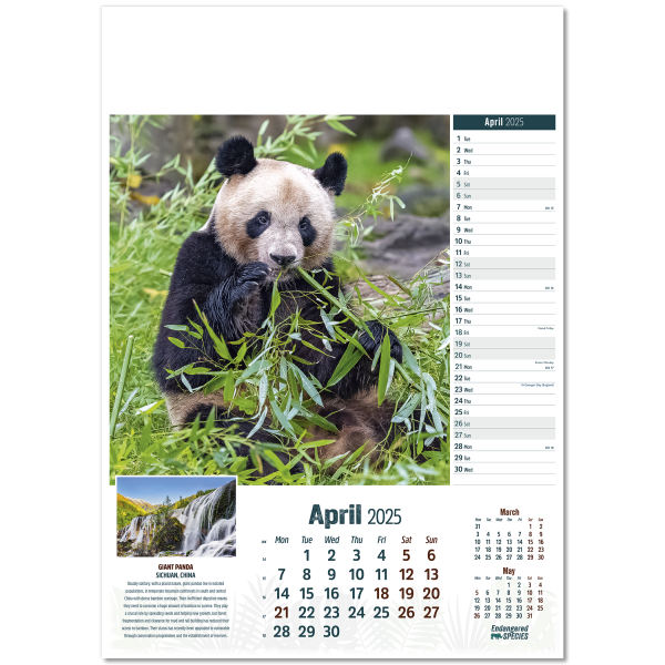 Endangered Species Wall Calendar