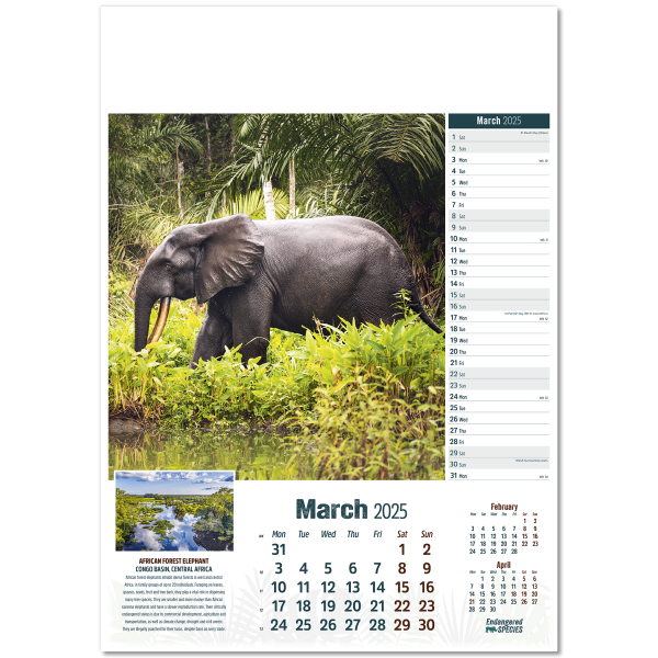 Endangered Species Wall Calendar