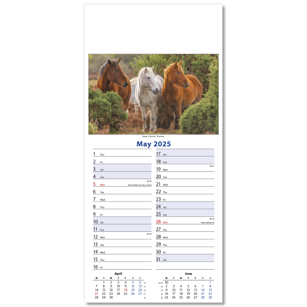 Wildlife Slim Wall Calendar