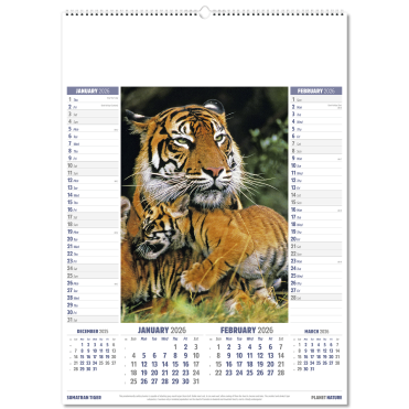 Planet Nature Wall Calendar