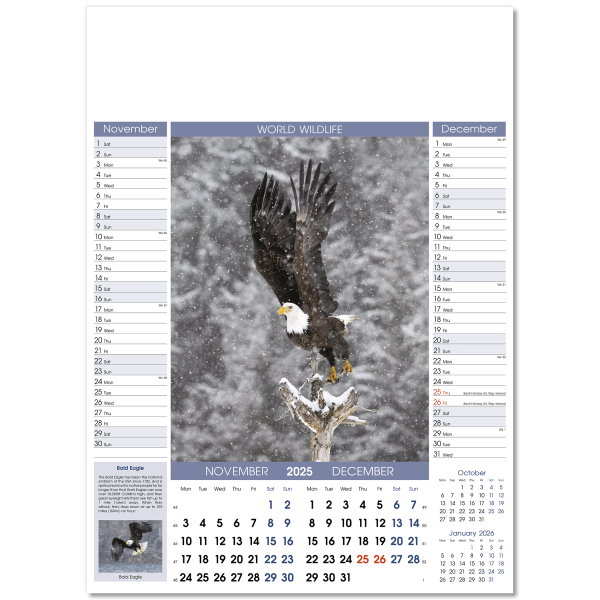 World Wildlife Wall Calendar