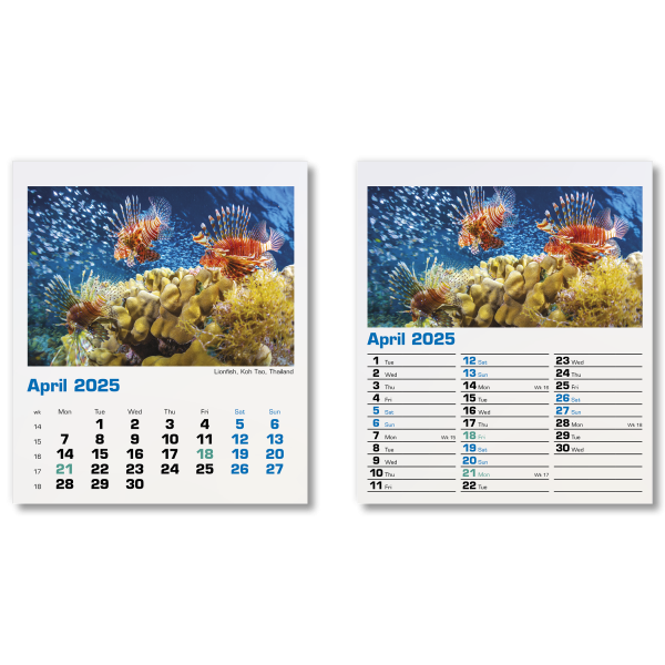 Blue Planet Mini Desk Calendar