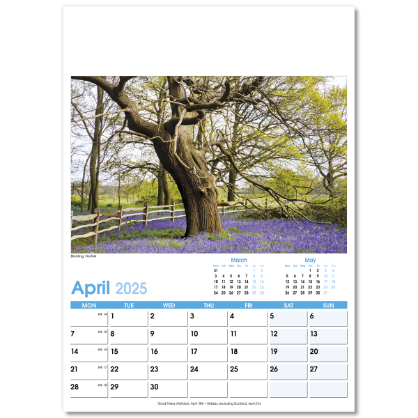 England Optima Wall Calendar - 13 Leaf