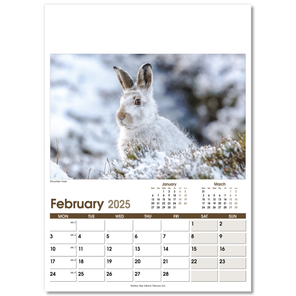 Rural Life Wall Calendar - 13 Leaf