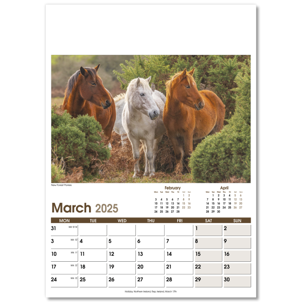 Rural Life Wall Calendar - 13 Leaf