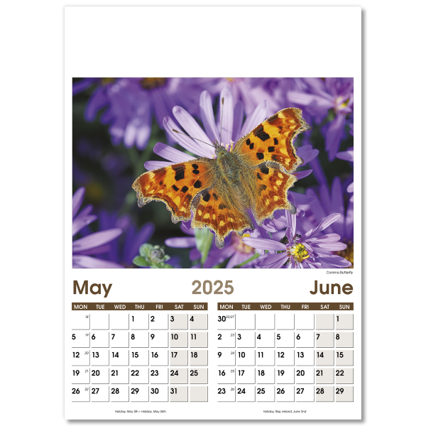 Rural Life Wall Calendar - 7 Leaf